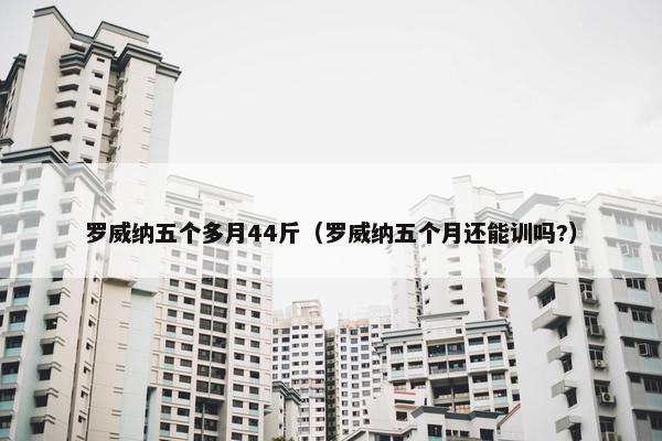 罗威纳五个多月44斤（罗威纳五个月还能训吗?）