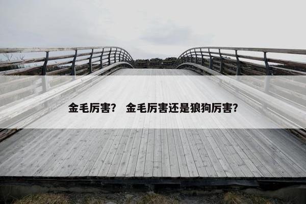 金毛厉害？ 金毛厉害还是狼狗厉害？