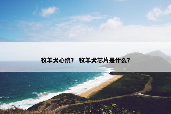 牧羊犬心统？ 牧羊犬芯片是什么？