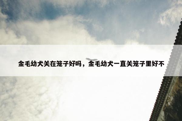 金毛幼犬关在笼子好吗，金毛幼犬一直关笼子里好不