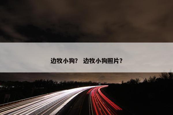边牧小狗？ 边牧小狗照片？