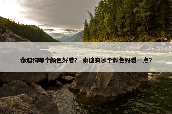 泰迪狗哪个颜色好看？ 泰迪狗哪个颜色好看一点？