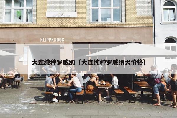 大连纯种罗威纳（大连纯种罗威纳犬价格）