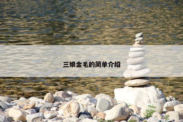 三娘金毛的简单介绍
