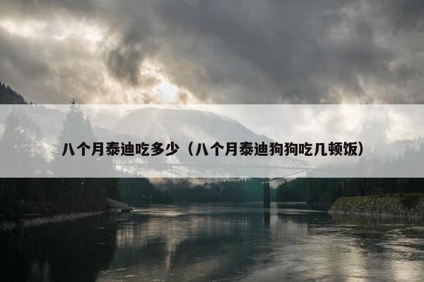 八个月泰迪吃多少（八个月泰迪狗狗吃几顿饭）