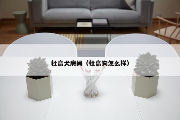 杜高犬房间（杜高狗怎么样）