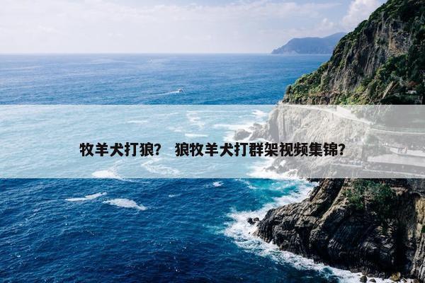 牧羊犬打狼？ 狼牧羊犬打群架视频集锦？