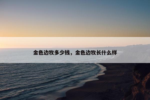 金色边牧多少钱，金色边牧长什么样