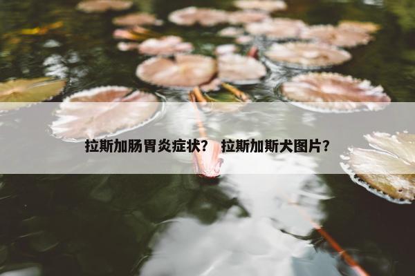 拉斯加肠胃炎症状？ 拉斯加斯犬图片？