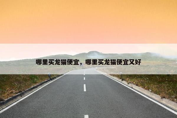 哪里买龙猫便宜，哪里买龙猫便宜又好