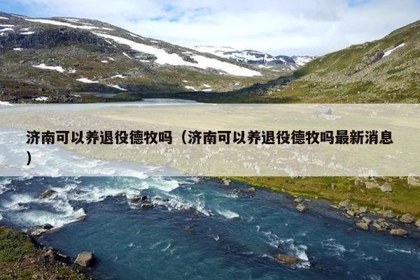 济南可以养退役德牧吗（济南可以养退役德牧吗最新消息）