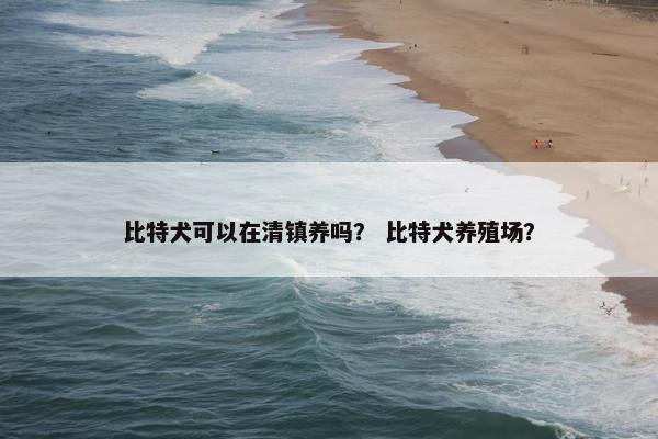 比特犬可以在清镇养吗？ 比特犬养殖场？