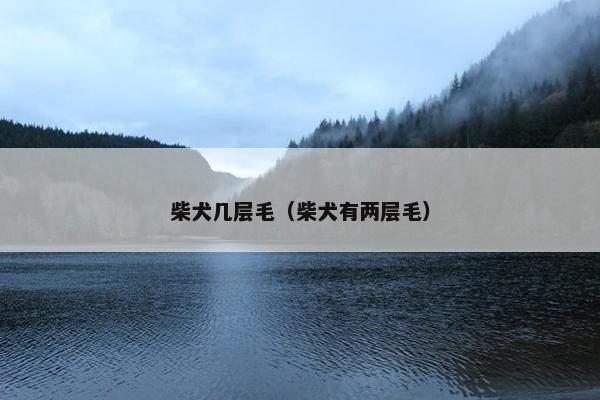 柴犬几层毛（柴犬有两层毛）