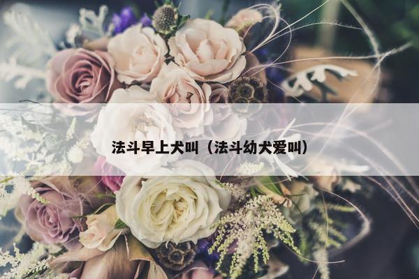 法斗早上犬叫（法斗幼犬爱叫）