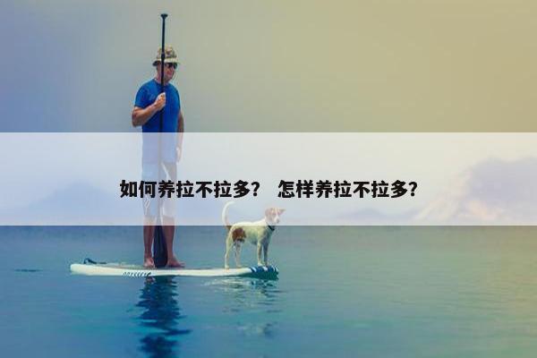 如何养拉不拉多？ 怎样养拉不拉多？