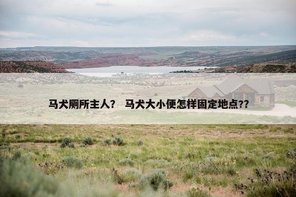 马犬厕所主人？ 马犬大小便怎样固定地点?？