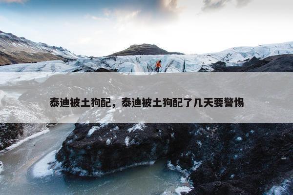 泰迪被土狗配，泰迪被土狗配了几天要警惕