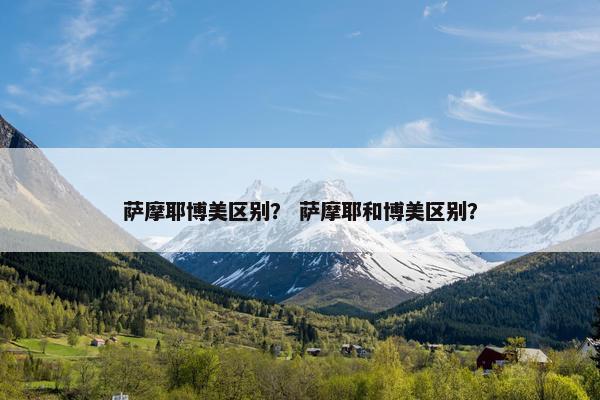 萨摩耶博美区别？ 萨摩耶和博美区别？