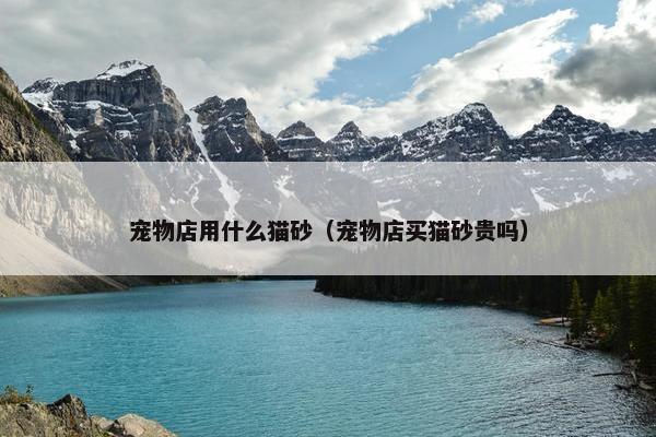 宠物店用什么猫砂（宠物店买猫砂贵吗）