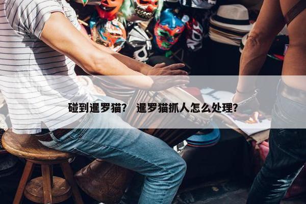 碰到暹罗猫？ 暹罗猫抓人怎么处理？