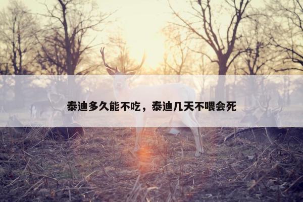 泰迪多久能不吃，泰迪几天不喂会死
