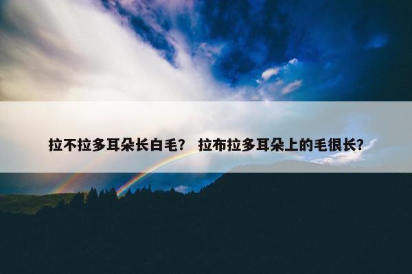 拉不拉多耳朵长白毛？ 拉布拉多耳朵上的毛很长？