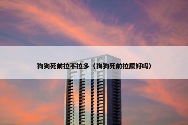狗狗死前拉不拉多（狗狗死前拉屎好吗）