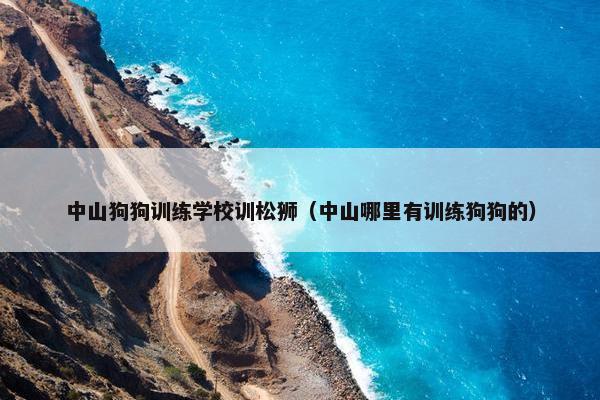 中山狗狗训练学校训松狮（中山哪里有训练狗狗的）