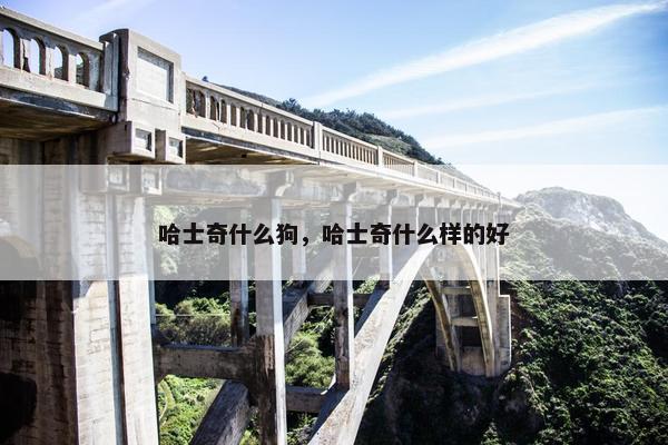 哈士奇什么狗，哈士奇什么样的好