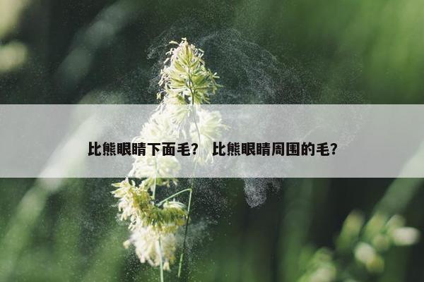 比熊眼睛下面毛？ 比熊眼睛周围的毛？