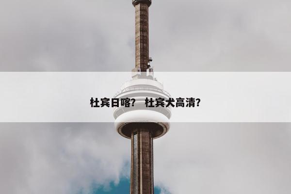 杜宾日喀？ 杜宾犬高清？