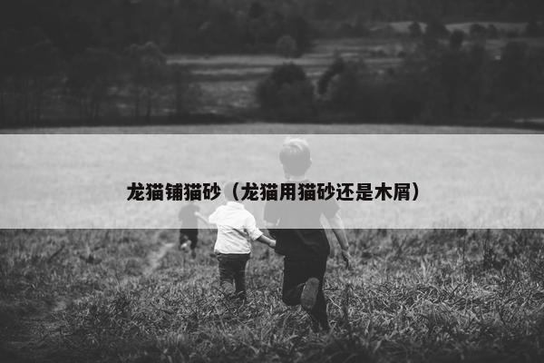 龙猫铺猫砂（龙猫用猫砂还是木屑）