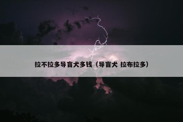拉不拉多导盲犬多钱（导盲犬 拉布拉多）