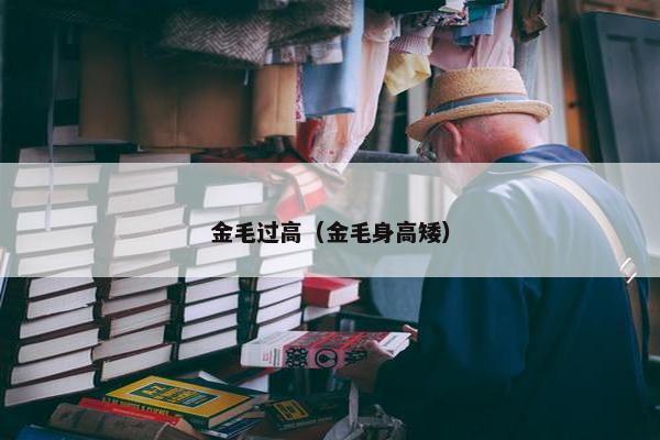 金毛过高（金毛身高矮）