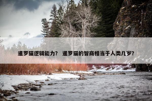 暹罗猫逻辑能力？ 暹罗猫的智商相当于人类几岁？