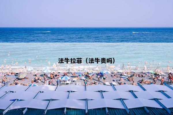 法牛拉菲（法牛贵吗）