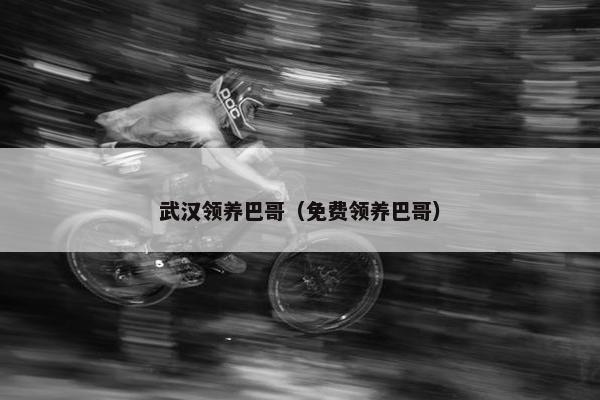 武汉领养巴哥（免费领养巴哥）