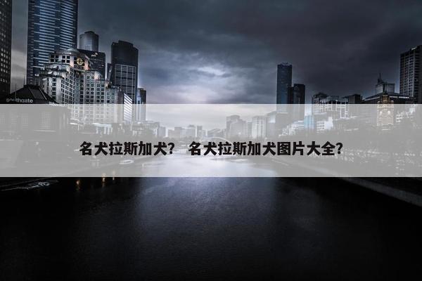 名犬拉斯加犬？ 名犬拉斯加犬图片大全？