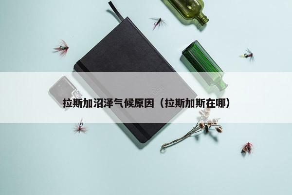 拉斯加沼泽气候原因（拉斯加斯在哪）
