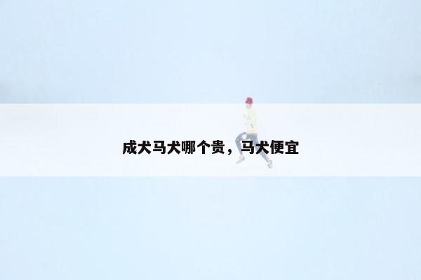 成犬马犬哪个贵，马犬便宜