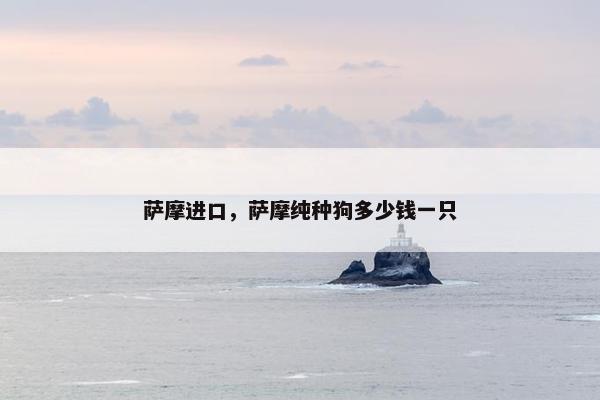 萨摩进口，萨摩纯种狗多少钱一只