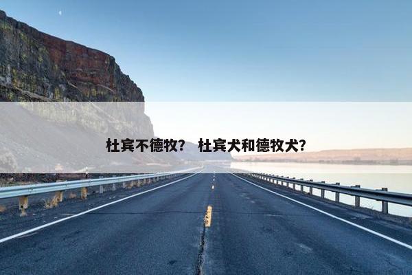 杜宾不德牧？ 杜宾犬和德牧犬？