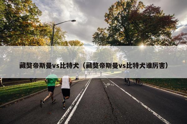 藏獒帝斯曼vs比特犬（藏獒帝斯曼vs比特犬谁厉害）