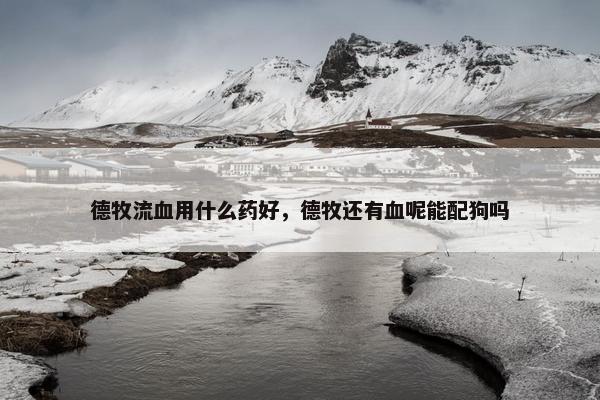 德牧流血用什么药好，德牧还有血呢能配狗吗