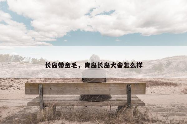 长岛带金毛，青岛长岛犬舍怎么样