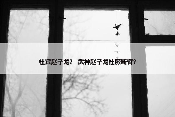 杜宾赵子龙？ 武神赵子龙杜厥断臂？