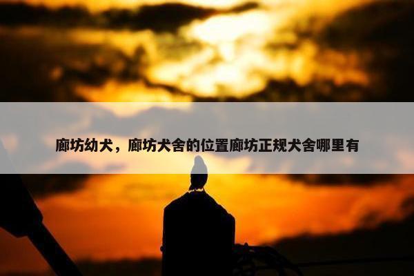 廊坊幼犬，廊坊犬舍的位置廊坊正规犬舍哪里有