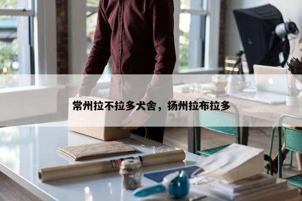 常州拉不拉多犬舍，扬州拉布拉多