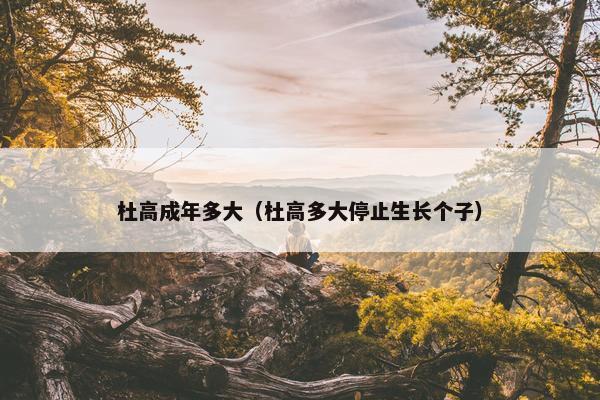杜高成年多大（杜高多大停止生长个子）