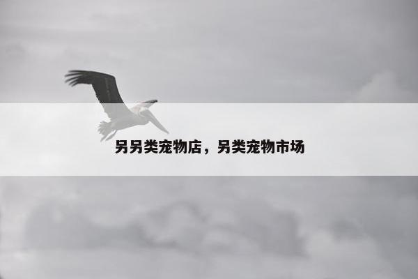另另类宠物店，另类宠物市场